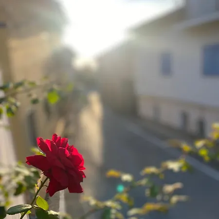 La Tana Della Volpe E L'uva Apartmán *